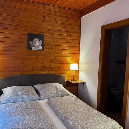 加布里埃尔酒店 3* Vysoké Tatry